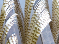 �Y��ɐ����t���Ă��܂����A���̏�Ԃł͂����̎ȁX�̎�